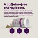 Active Energy INFO 07