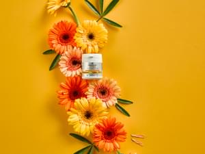 INGREDIENTS Vit D3 HIGH