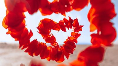 Pexels how far from home 3341908 6788862