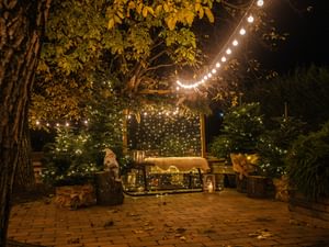 Pexels radu daniel mrd 19290411