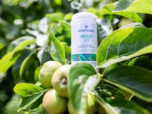 Vegetology June 23 39