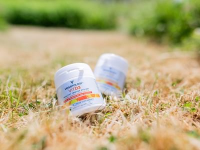 Vegetology June 23 58