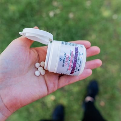 Vegetology June 23 78