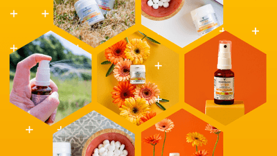 002041ee 62ee 438f bccf 6b47fa3be4fb