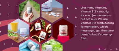 1583a6b4 4da3 44d2 97fe 591b7508c873